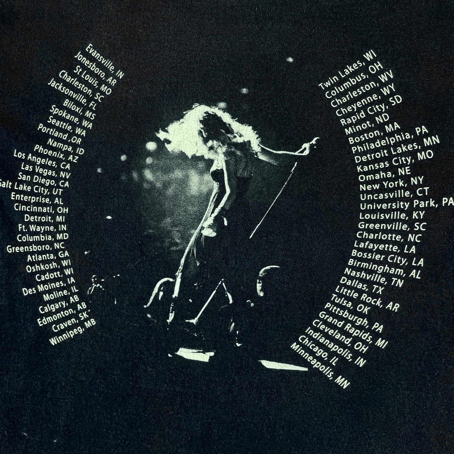 Taylor Swift 2009 Fearless Tour Official Tee