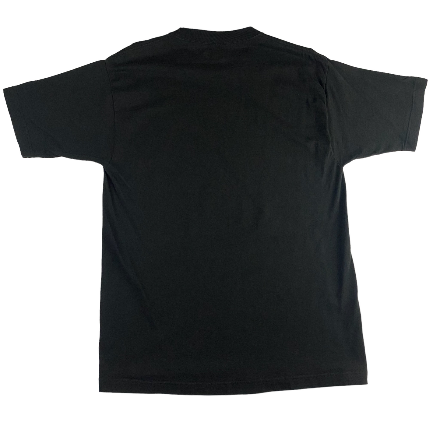 Brady/McNabb Super Bowl XXXIX Tee