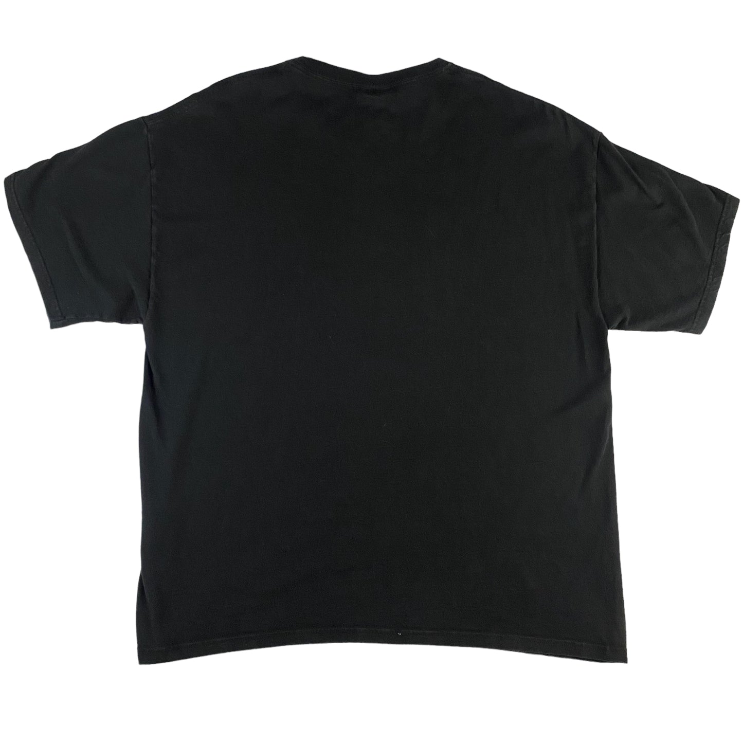 Obama Victory & History Tee