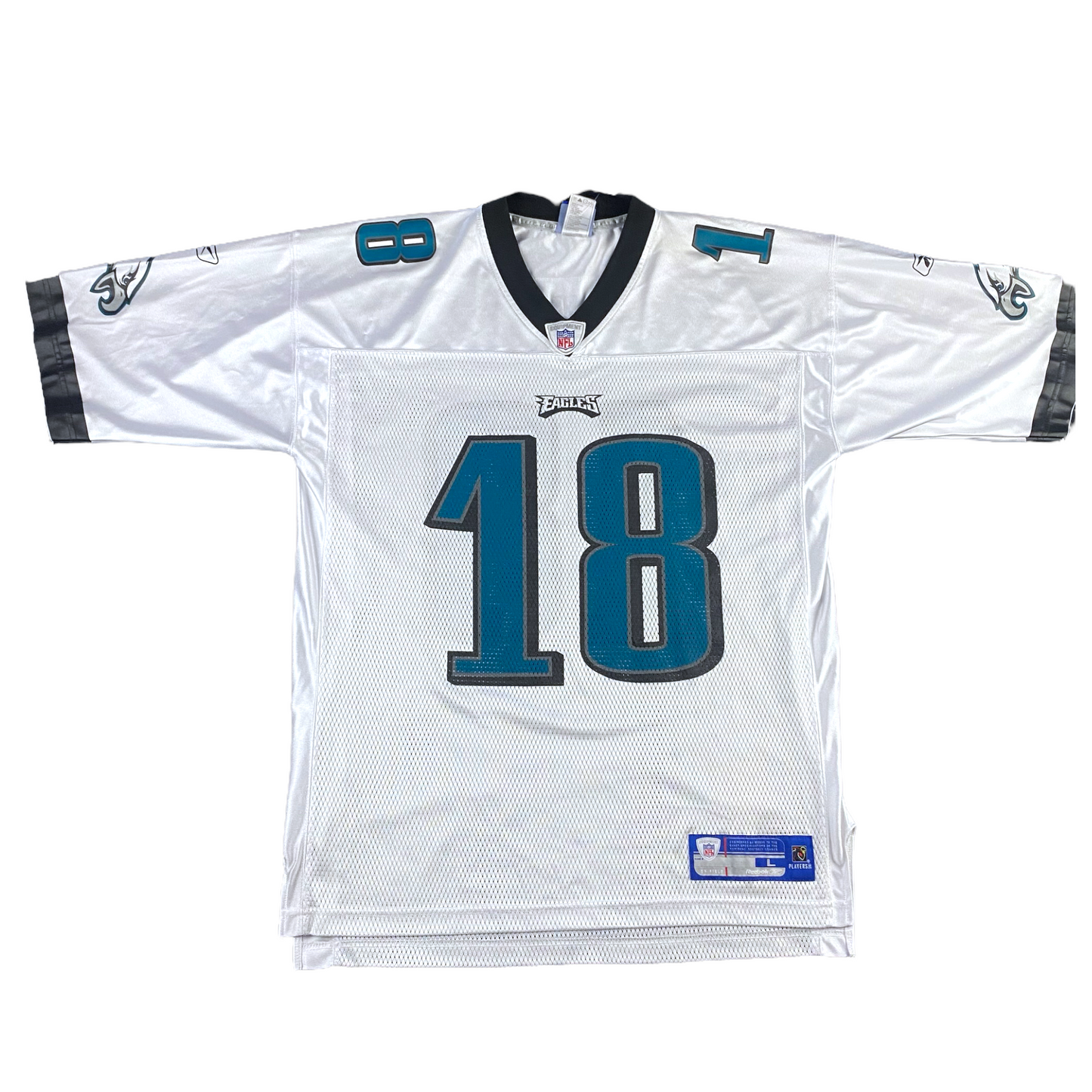 Donte' Stallworth Eagles Jersey