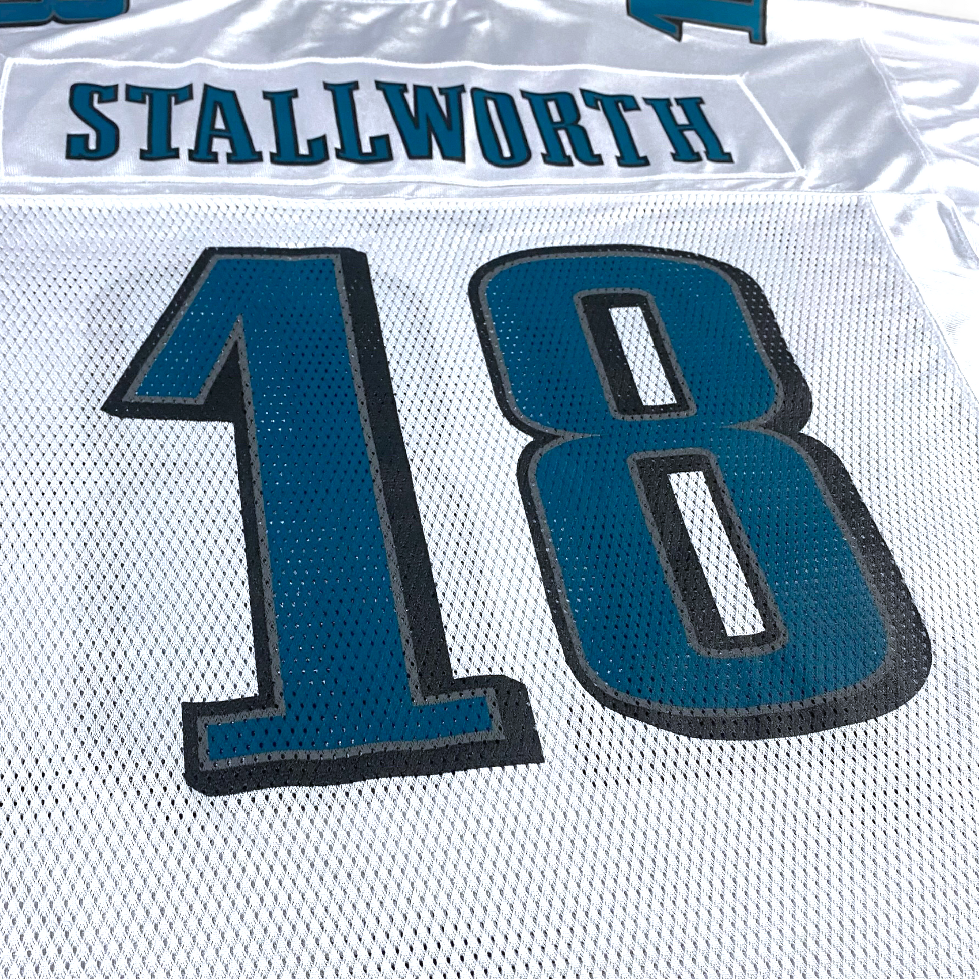 Donte' Stallworth Eagles Jersey